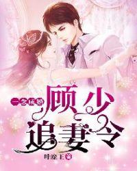 一念成婚:顾少追妻令
