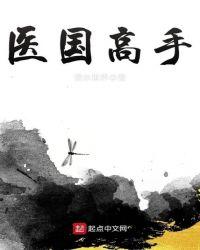 医国高手